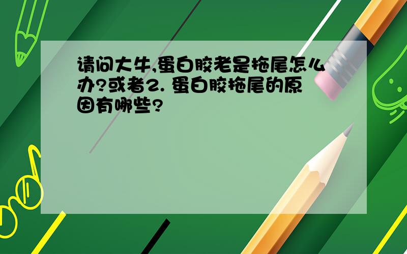 请问大牛,蛋白胶老是拖尾怎么办?或者2. 蛋白胶拖尾的原因有哪些?