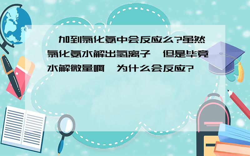 镁加到氯化氨中会反应么?虽然氯化氨水解出氢离子,但是毕竟水解微量啊,为什么会反应?