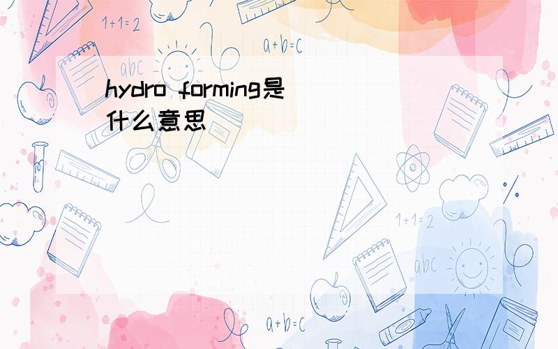 hydro forming是什么意思