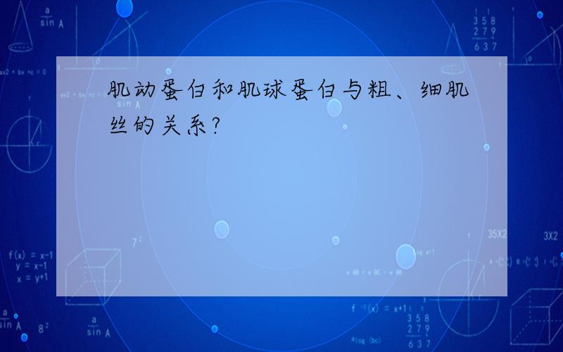 肌动蛋白和肌球蛋白与粗、细肌丝的关系?