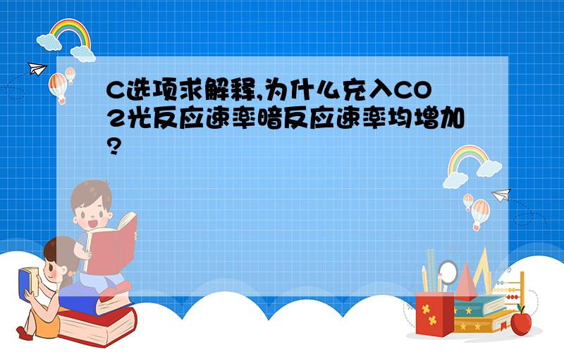 C选项求解释,为什么充入CO2光反应速率暗反应速率均增加?