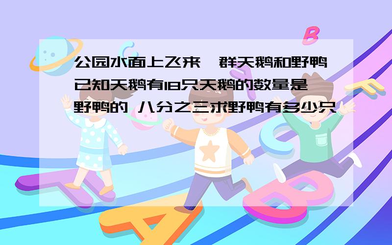 公园水面上飞来一群天鹅和野鸭已知天鹅有18只天鹅的数量是野鸭的 八分之三求野鸭有多少只