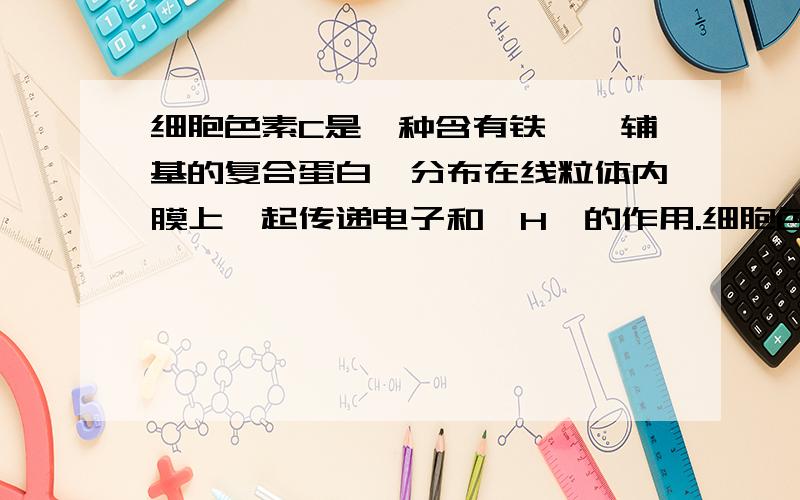 细胞色素C是一种含有铁卟啉辅基的复合蛋白,分布在线粒体内膜上,起传递电子和〔H〕的作用.细胞色素C是在有氧呼吸哪一阶段起作用?（ ）A．第一阶段 B．第二阶段 C．第三阶段 D．每一阶段