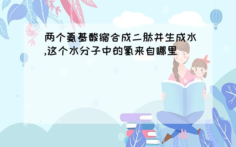 两个氨基酸缩合成二肽并生成水,这个水分子中的氢来自哪里