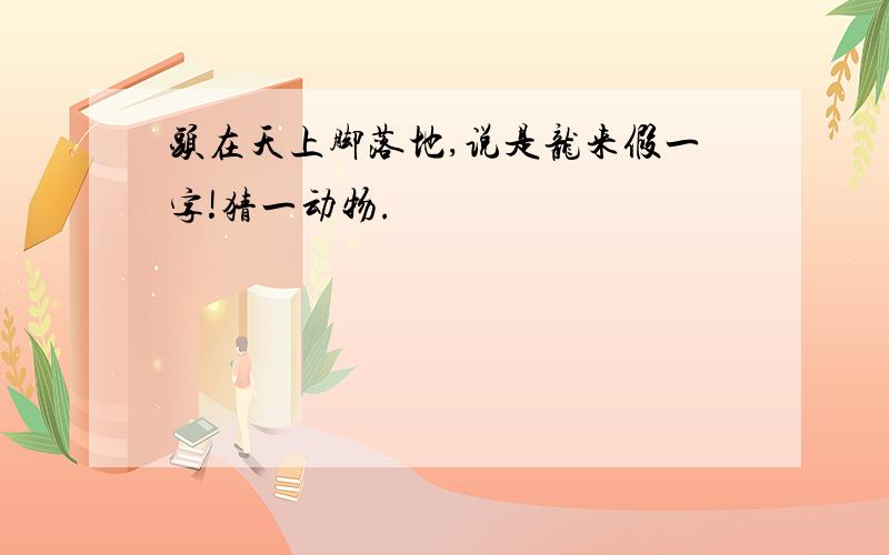 头在天上脚落地,说是龙来假一字!猜一动物.