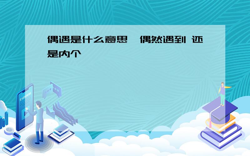 偶遇是什么意思、偶然遇到 还是内个