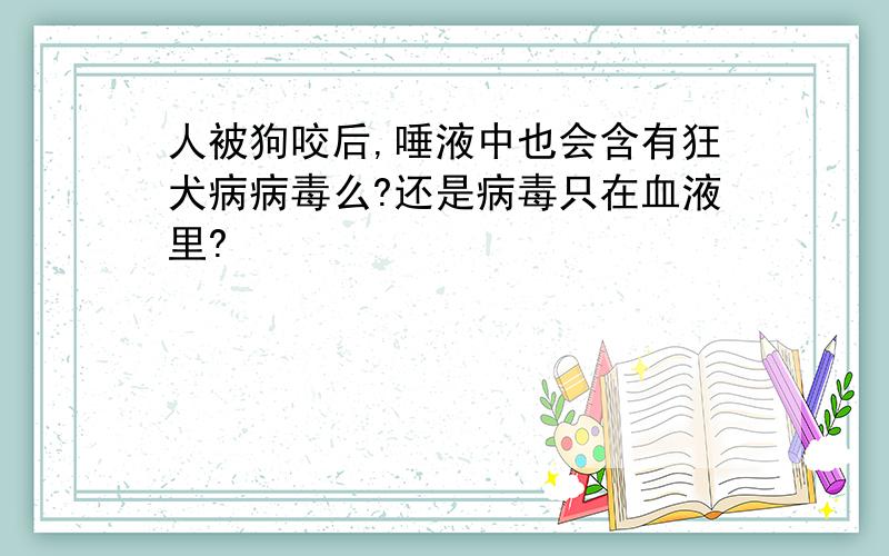 人被狗咬后,唾液中也会含有狂犬病病毒么?还是病毒只在血液里?