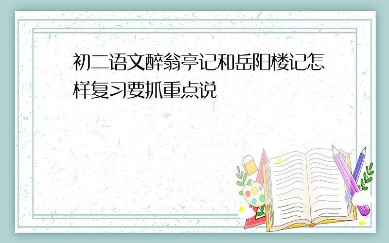 初二语文醉翁亭记和岳阳楼记怎样复习要抓重点说