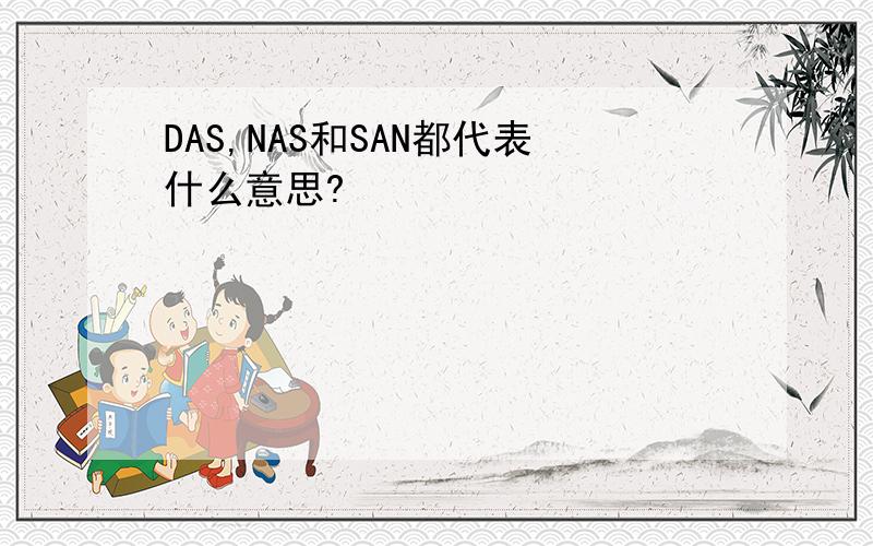 DAS,NAS和SAN都代表什么意思?