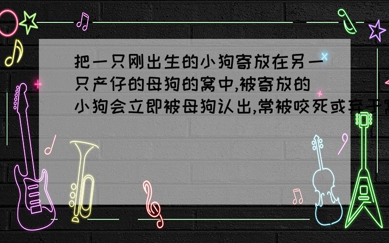 把一只刚出生的小狗寄放在另一只产仔的母狗的窝中,被寄放的小狗会立即被母狗认出,常被咬死或弃于窝外.试分析:(1)这说明母狗与它生的小狗之间存在____________(2)请想个办法,不让母狗伤害