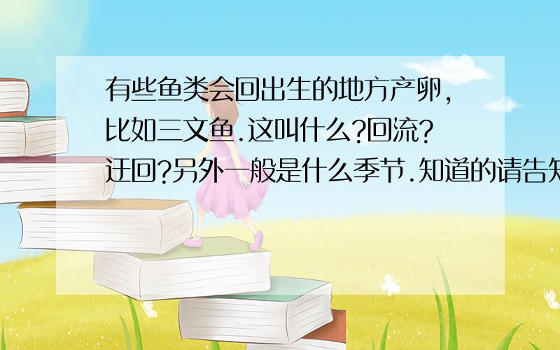 有些鱼类会回出生的地方产卵,比如三文鱼.这叫什么?回流?迂回?另外一般是什么季节.知道的请告知鱼的这行为叫什么名字?迂回?还有一般发生在什么季节.