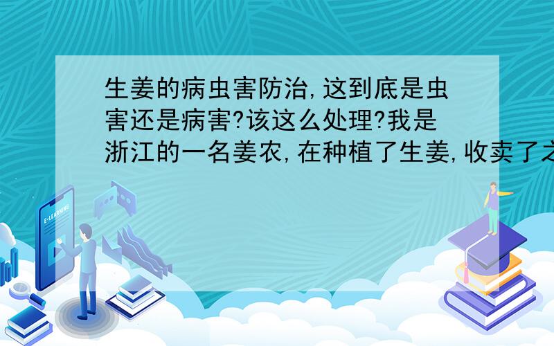 生姜的病虫害防治,这到底是虫害还是病害?该这么处理?我是浙江的一名姜农,在种植了生姜,收卖了之后发现有一种生姜的病虫害很严重,如图!这种病非常的具有蔓延性,而且面积很大,需要用什