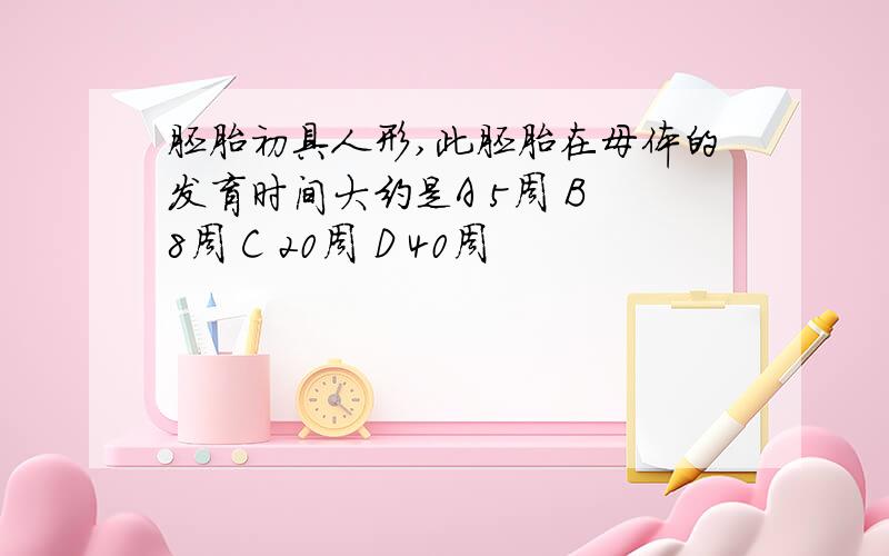 胚胎初具人形,此胚胎在母体的发育时间大约是A 5周 B 8周 C 20周 D 40周