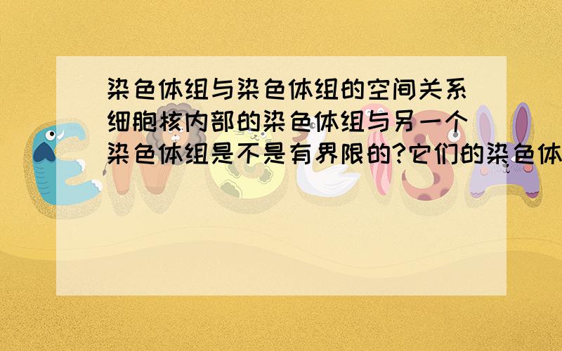 染色体组与染色体组的空间关系细胞核内部的染色体组与另一个染色体组是不是有界限的?它们的染色体不可能混合在一起吧?我所说的界限是空间界限,它指的是两套染色体组在一般的情况下