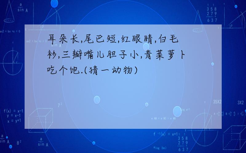 耳朵长,尾巴短,红眼睛,白毛衫,三瓣嘴儿胆子小,青菜萝卜吃个饱.(猜一动物)