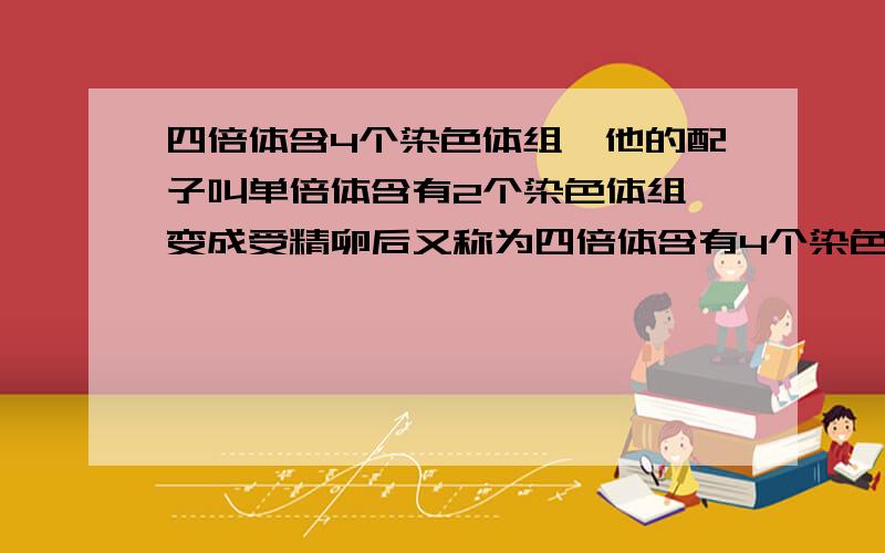 四倍体含4个染色体组,他的配子叫单倍体含有2个染色体组,变成受精卵后又称为四倍体含有4个染色体组吗?