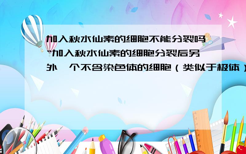 加入秋水仙素的细胞不能分裂吗“加入秋水仙素的细胞分裂后另外一个不含染色体的细胞（类似于极体）”这是别人的回答.对呀,秋水仙素破坏了纺锤体,使染色体不能往细胞两极移动,哪还怎