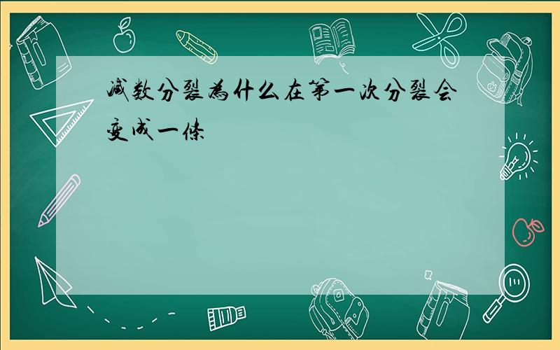 减数分裂为什么在第一次分裂会变成一条