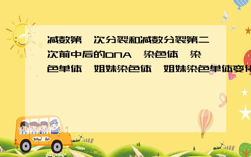 减数第一次分裂和减数分裂第二次前中后的DNA丶染色体丶染色单体丶姐妹染色体丶姐妹染色单体变化情况以及造成原因