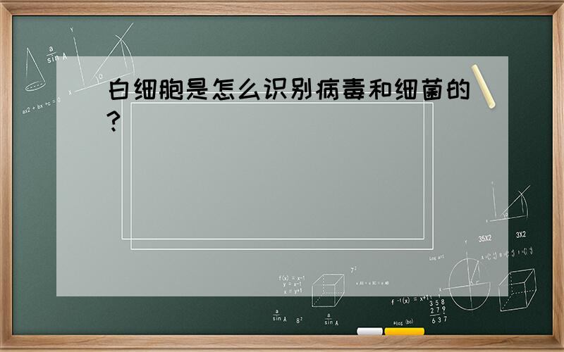 白细胞是怎么识别病毒和细菌的?