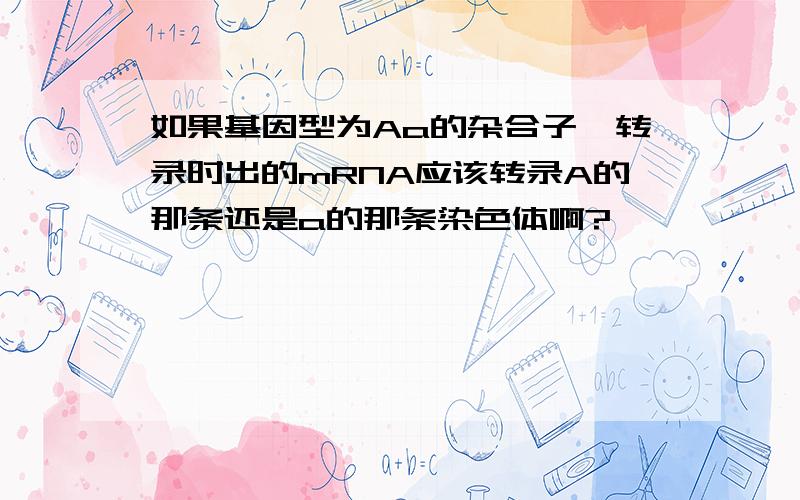 如果基因型为Aa的杂合子,转录时出的mRNA应该转录A的那条还是a的那条染色体啊?