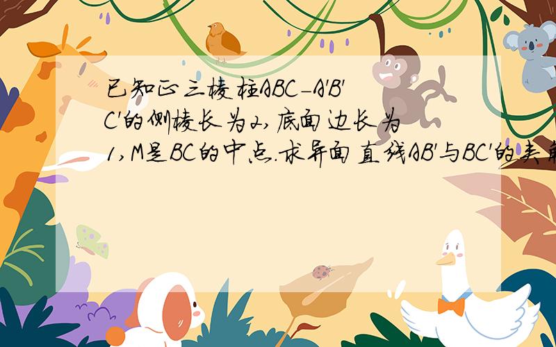 已知正三棱柱ABC－A'B'C'的侧棱长为2,底面边长为1,M是BC的中点.求异面直线AB'与BC'的夹角的余弦值.