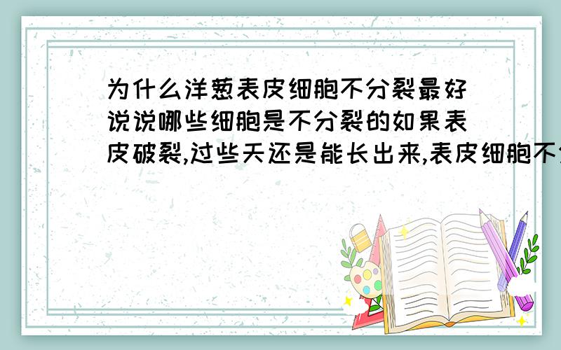 为什么洋葱表皮细胞不分裂最好说说哪些细胞是不分裂的如果表皮破裂,过些天还是能长出来,表皮细胞不分裂怎么会愈合呢