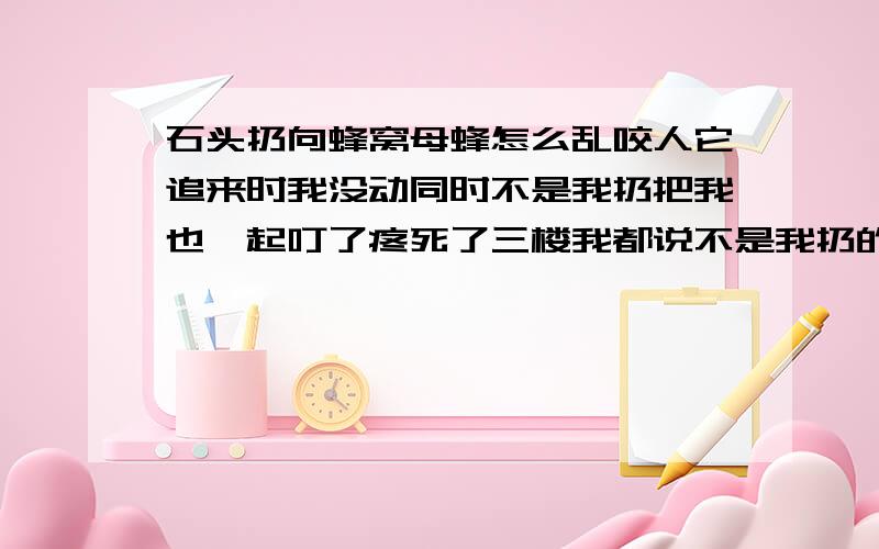 石头扔向蜂窝母蜂怎么乱咬人它追来时我没动同时不是我扔把我也一起叮了疼死了三楼我都说不是我扔的是旁边的人扔