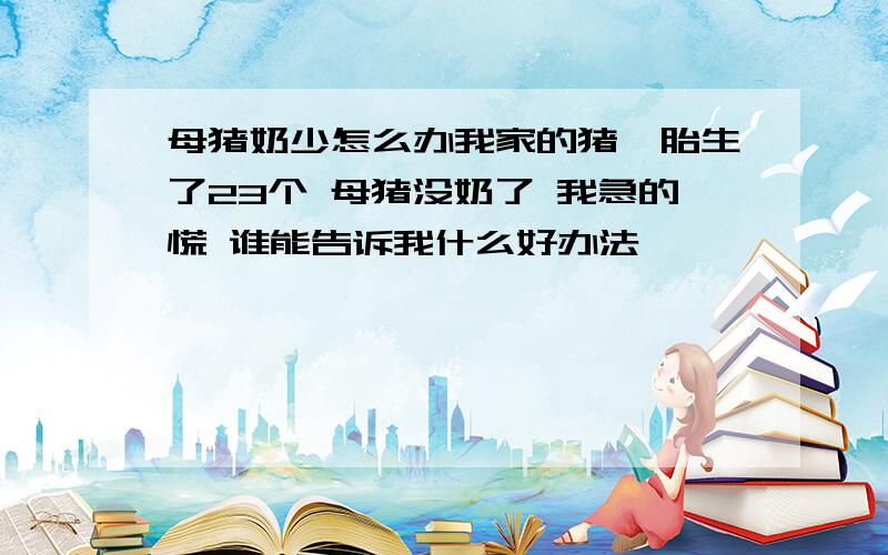 母猪奶少怎么办我家的猪一胎生了23个 母猪没奶了 我急的慌 谁能告诉我什么好办法