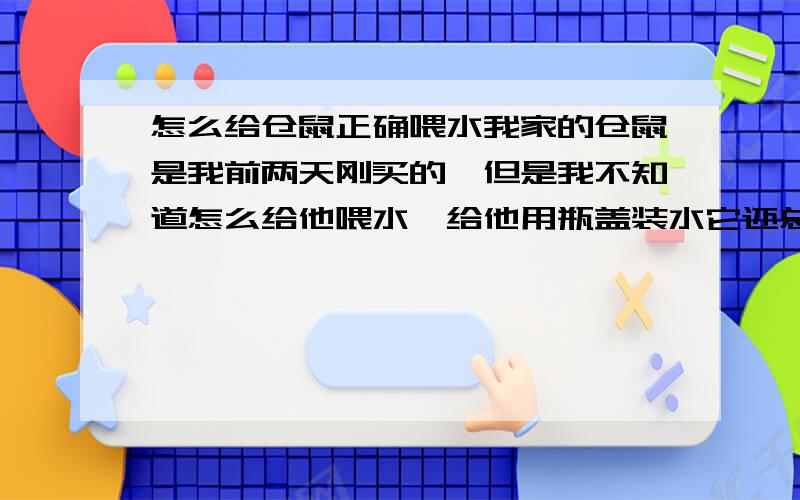 怎么给仓鼠正确喂水我家的仓鼠是我前两天刚买的,但是我不知道怎么给他喂水,给他用瓶盖装水它还总是弄洒了,有的时候连看都不看,我想知道用什么给仓鼠喂水好点,(我家就一只)一天喂几次