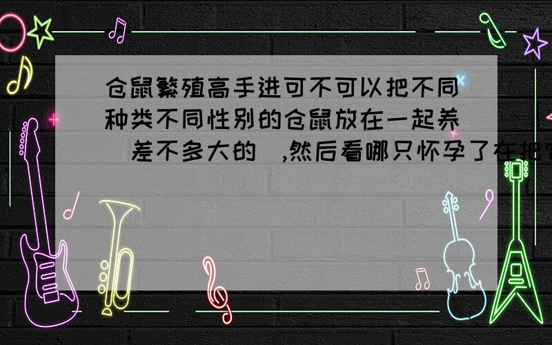 仓鼠繁殖高手进可不可以把不同种类不同性别的仓鼠放在一起养（差不多大的）,然后看哪只怀孕了在把它拿出来单养?(不要求后代品种纯正）