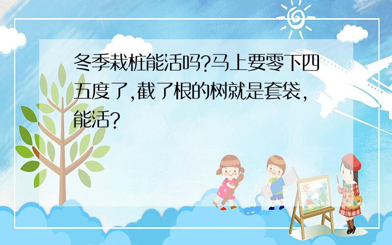 冬季栽桩能活吗?马上要零下四五度了,截了根的树就是套袋,能活?