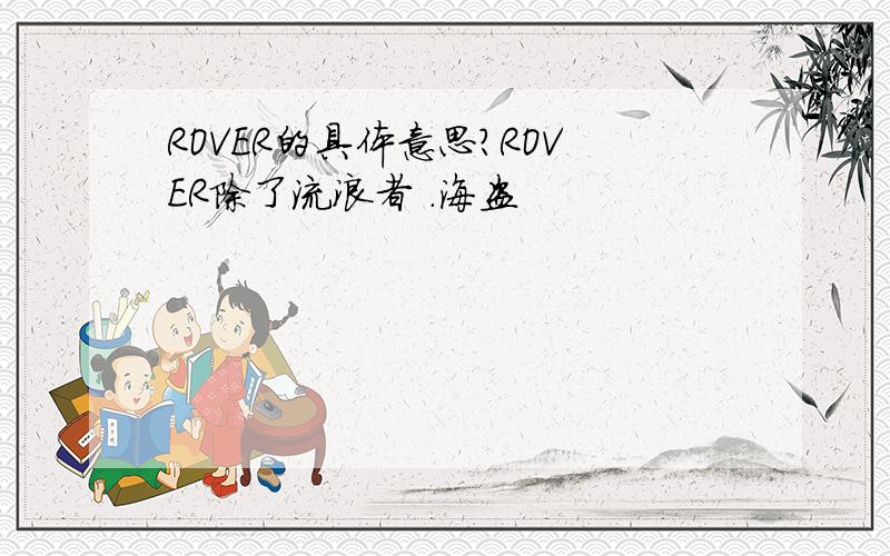 ROVER的具体意思?ROVER除了流浪者 .海盗