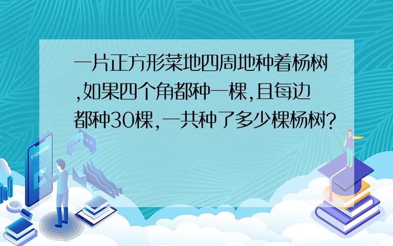 一片正方形菜地四周地种着杨树,如果四个角都种一棵,且每边都种30棵,一共种了多少棵杨树?