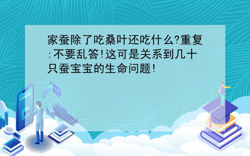 家蚕除了吃桑叶还吃什么?重复:不要乱答!这可是关系到几十只蚕宝宝的生命问题!