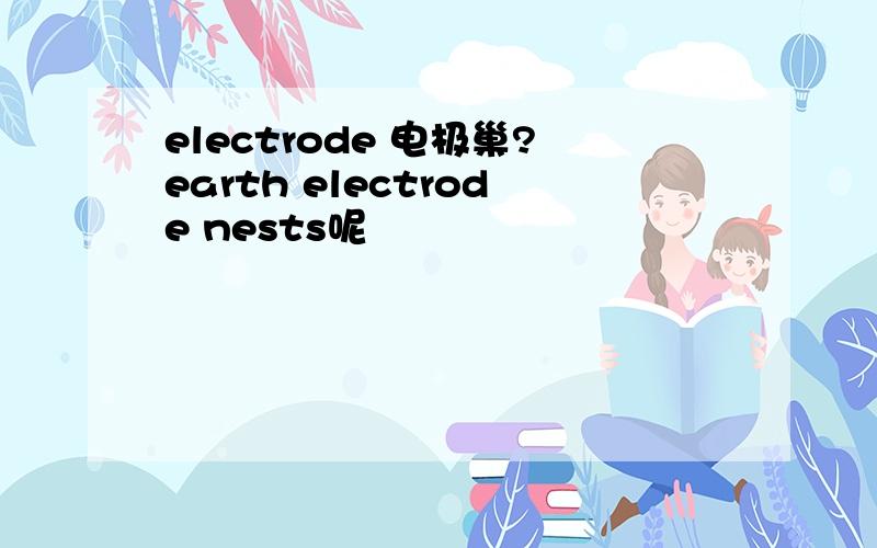 electrode 电极巢?earth electrode nests呢