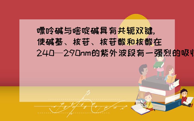 嘌呤碱与嘧啶碱具有共轭双键,使碱基、核苷、核苷酸和核酸在240—290nm的紫外波段有一强烈的吸收峰,最大吸收值在（ ）附近.不同核苷酸可以用（ ）加以定量及定性测定