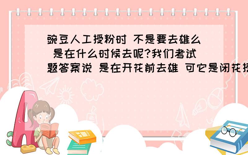 豌豆人工授粉时 不是要去雄么 是在什么时候去呢?我们考试题答案说 是在开花前去雄 可它是闭花授粉 有可能开花前已经完成授粉了啊另一个答案是 在授粉前进行去雄 我觉得更合理 也更精