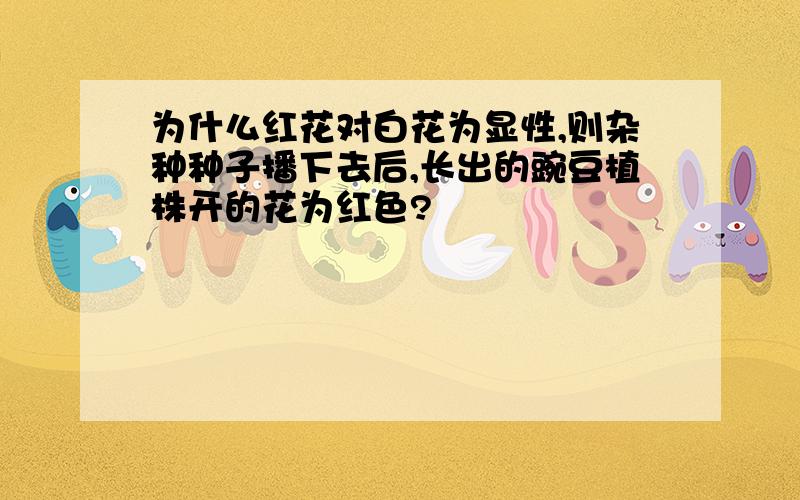 为什么红花对白花为显性,则杂种种子播下去后,长出的豌豆植株开的花为红色?