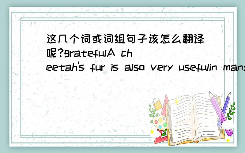 这几个词或词组句子该怎么翻译呢?gratefulA cheetah's fur is also very usefulin many ways , the cheetah is built for speedeaglestormlooking into the eyesuse your own wordsdo a better job ofslow downthe problem-solvingin other wordseat