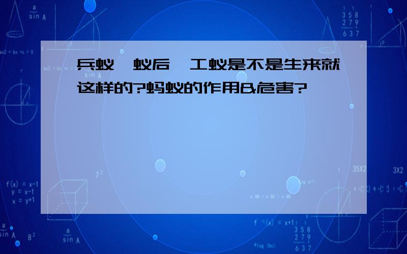 兵蚁,蚁后,工蚁是不是生来就这样的?蚂蚁的作用&危害?