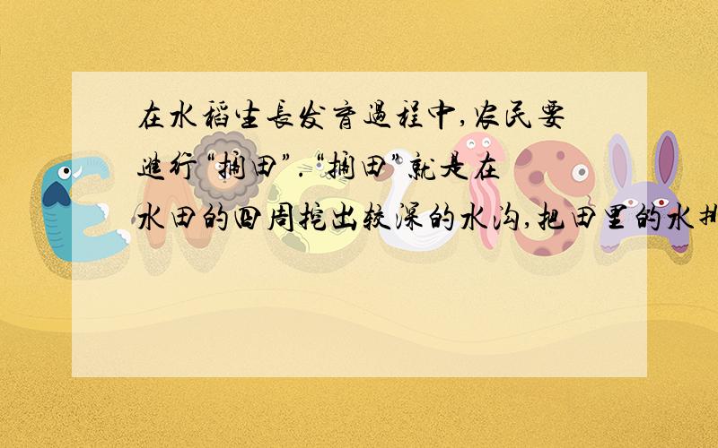 在水稻生长发育过程中,农民要进行“搁田”.“搁田”就是在水田的四周挖出较深的水沟,把田里的水排出,使土壤干燥些.下列与“搁田”无关的是A：协调土壤水分和空气的平衡B：促进睡到根