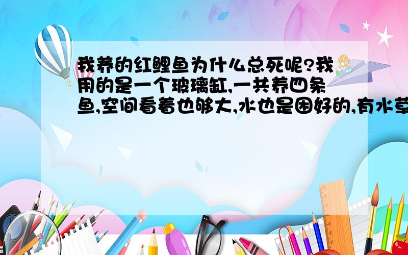 我养的红鲤鱼为什么总死呢?我用的是一个玻璃缸,一共养四条鱼,空间看着也够大,水也是困好的,有水草,缸底有鹅卵石,鱼本来挺好动的,但是越来越蔫,有的死的是浮在水面上,有的是沉在水底.