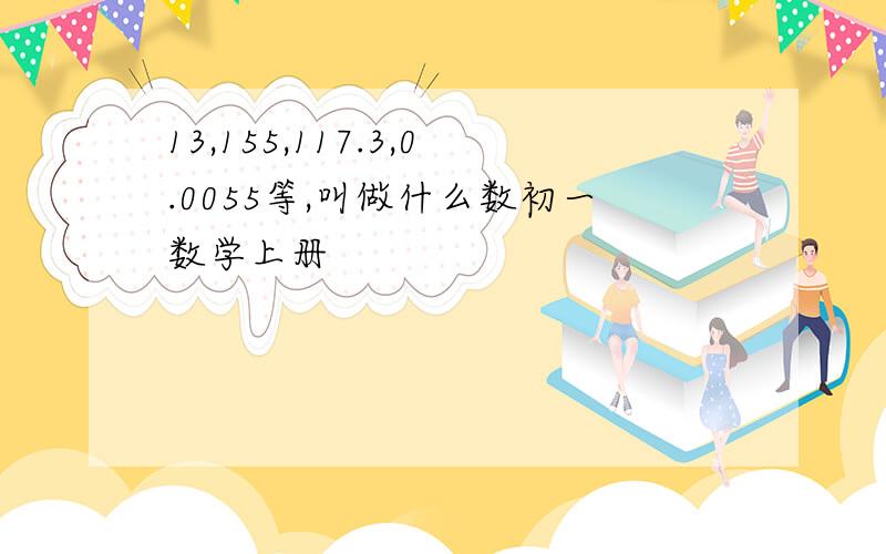 13,155,117.3,0.0055等,叫做什么数初一数学上册