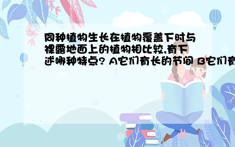 同种植物生长在植物覆盖下时与裸露地面上的植物相比较,有下述哪种特点? A它们有长的节间 B它们有短的节，答案是A   为什么？？