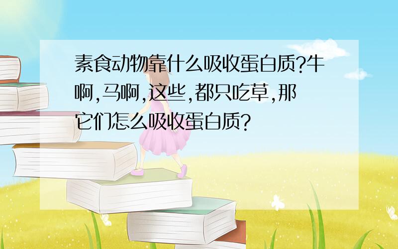 素食动物靠什么吸收蛋白质?牛啊,马啊,这些,都只吃草,那它们怎么吸收蛋白质?