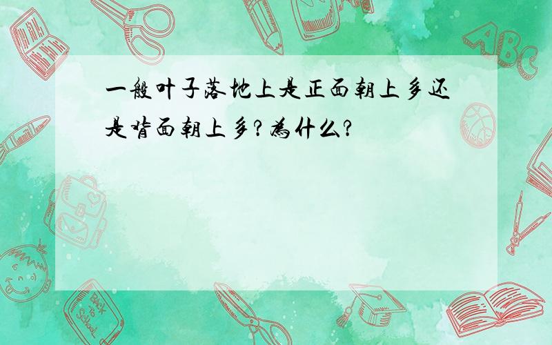 一般叶子落地上是正面朝上多还是背面朝上多?为什么?