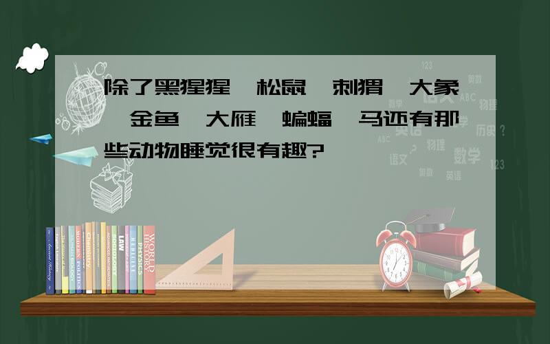 除了黑猩猩、松鼠、刺猬、大象、金鱼、大雁、蝙蝠、马还有那些动物睡觉很有趣?