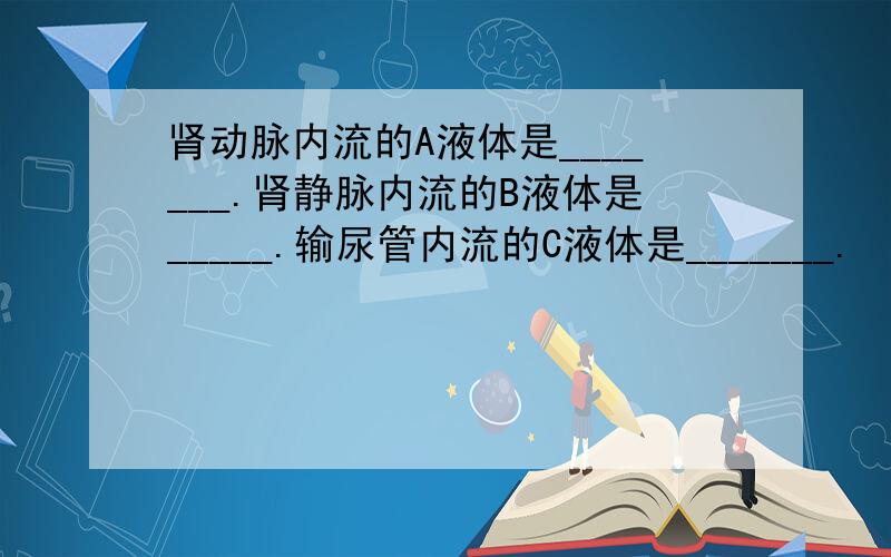 肾动脉内流的A液体是_______.肾静脉内流的B液体是_____.输尿管内流的C液体是_______.