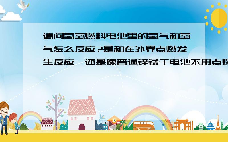 请问氢氧燃料电池里的氢气和氧气怎么反应?是和在外界点燃发生反应,还是像普通锌锰干电池不用点燃?